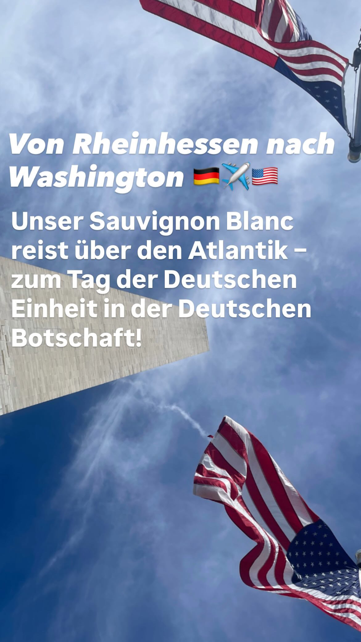 2024 Sauvignon Blanc trocken Schlossmühlenhof