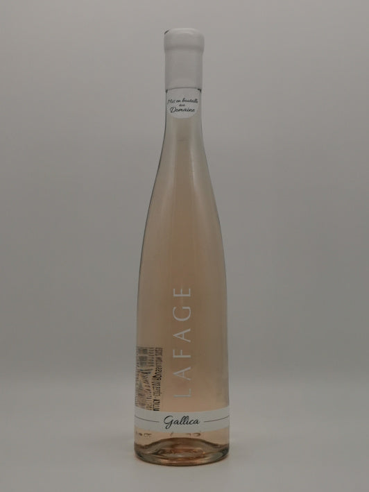 2024 Gallica Rose Lafage