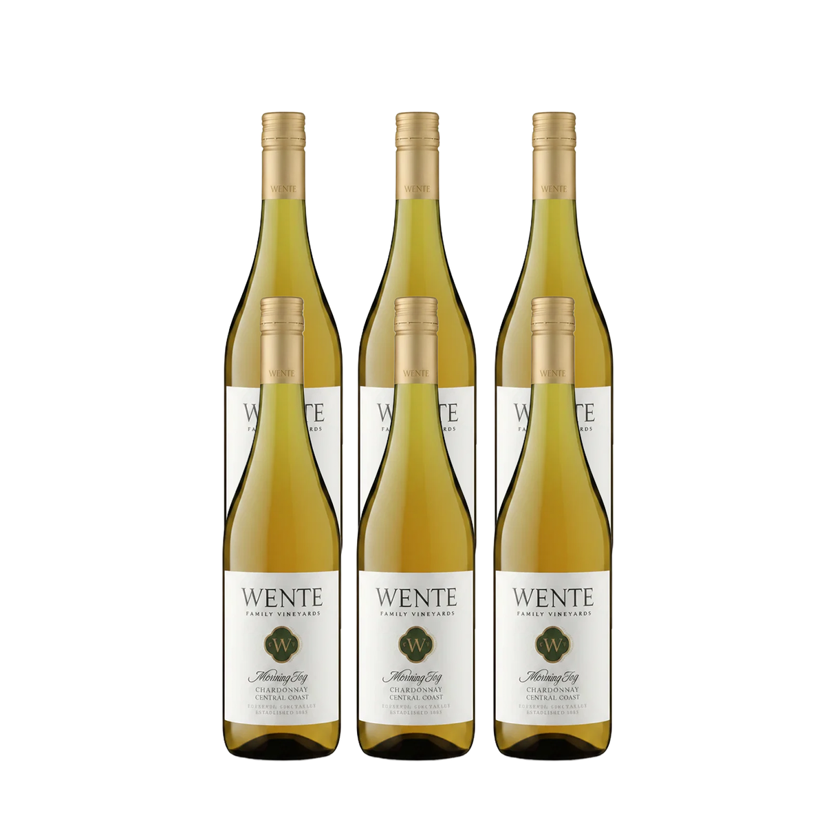 2023 Mornig Fog Chardonnay Wente Vineyards 6er Paket