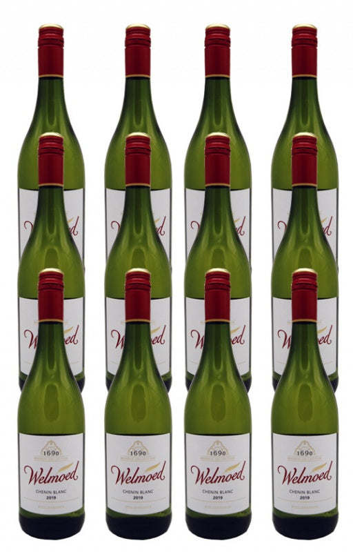 2024 Chenin Blanc trocken Welmoed 12er Paket
