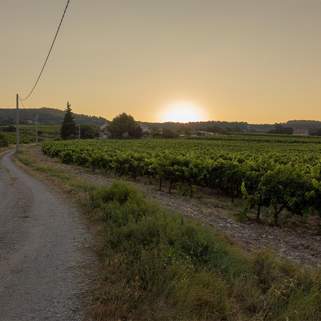 Languedoc-Roussillon