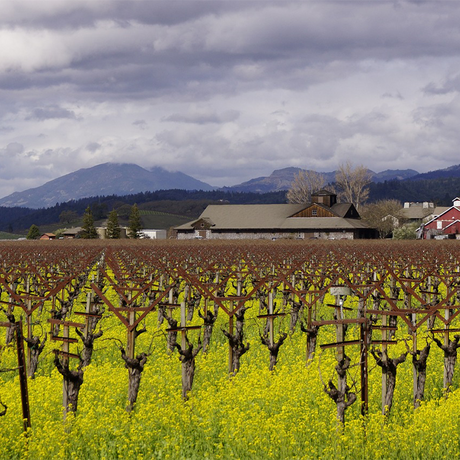 Barossa Valley