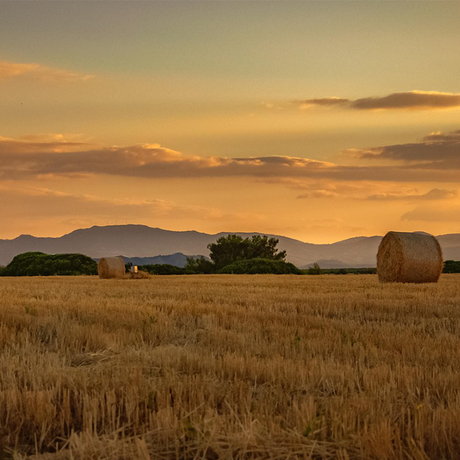 Basilicata