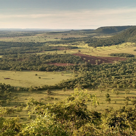 Campo de Borja