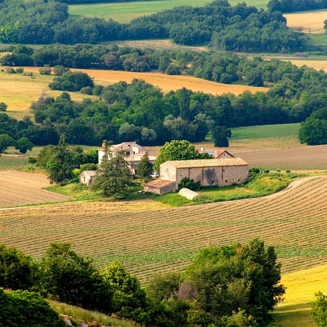 Cotes de Provence