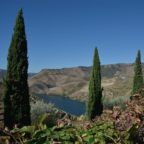 Douro