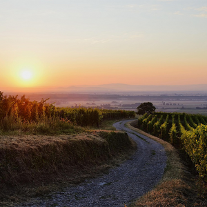 Frankreich