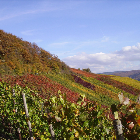 Mittelrhein