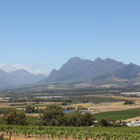 Paarl