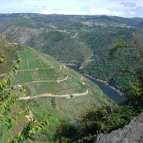 Ribeira Sacra