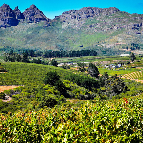 Steenberg