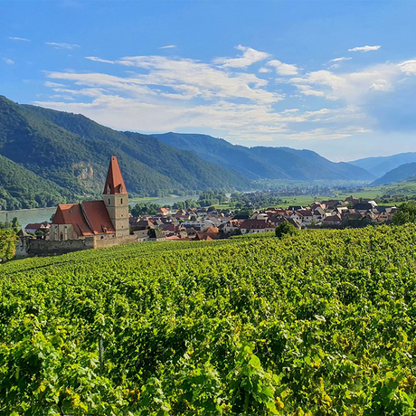 Wachau