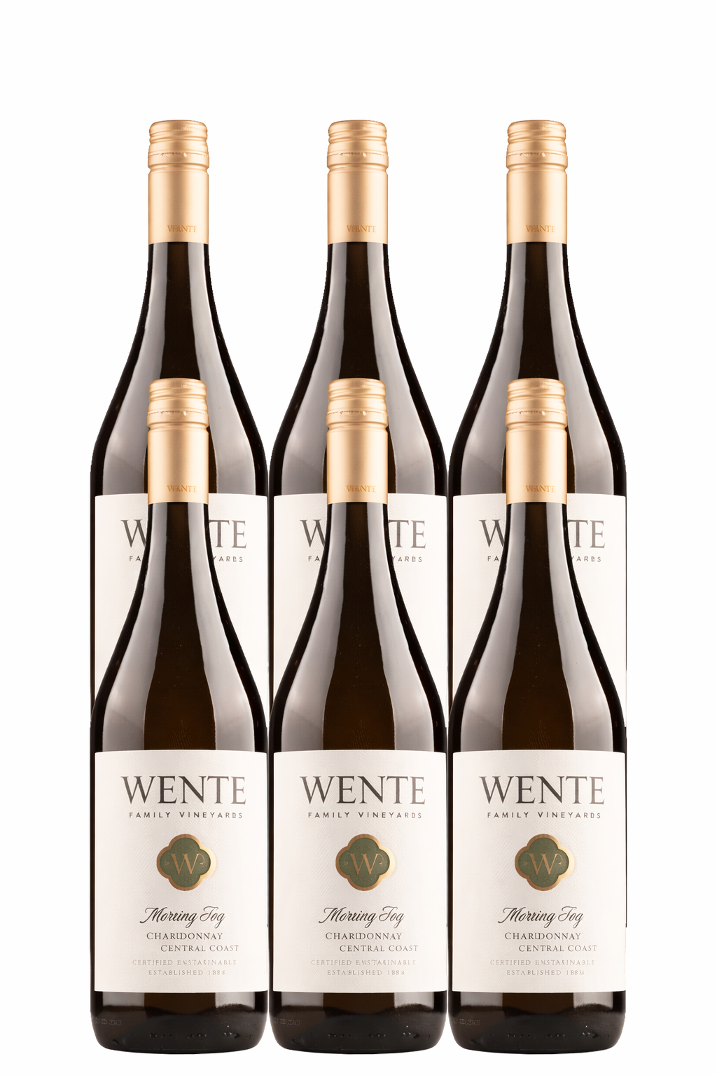 2023 Mornig Fog Chardonnay Wente Vineyards 6er Paket